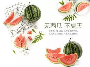 潍坊吃瓜网红有哪些公司,潍坊吃瓜网红背后的公司概览  第1张